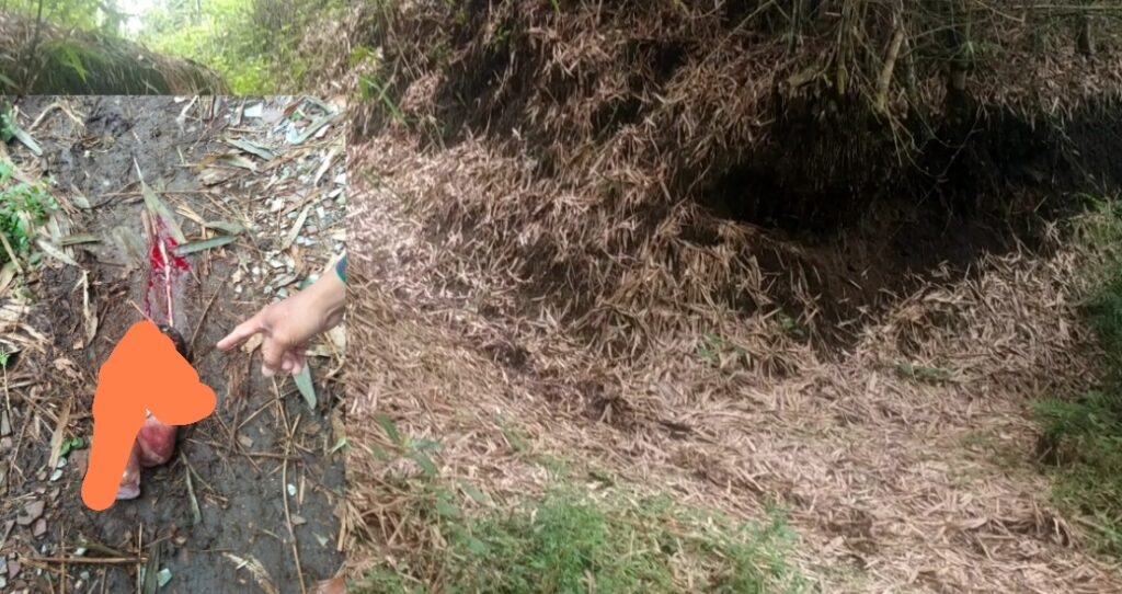 Tega! Bayi Baru Lahir Dibuang, Beruntung Ditemukan Dengan Kondisi Sehat