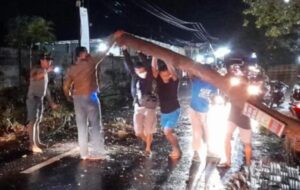 Tabrak Pohon Tumbang, Seorang Bikers Tewas