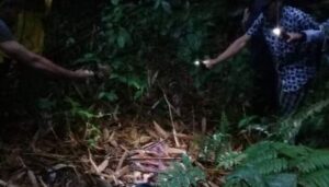 Mayat Tinggal Tulang Ditemukan Pencari Kayu di Hutan Burno