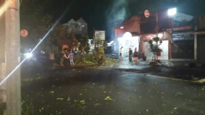 Pohon Tumbang Timpa Truk di Kepanjen Malang