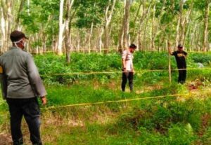 Heboh! 206 Benda Mirip Granat Ditemukan di Banyuwangi