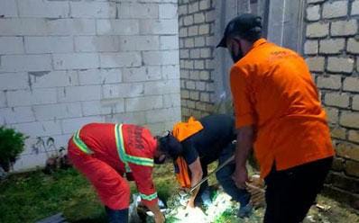 Bikin Resah Warga Tuban, Ular Piton Sepanjang 3,5 M Diamankan