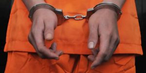 Tanam Ganja di Kebun Sengon, Pria Asal Lumajang Dibekuk Polisi