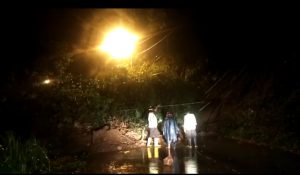 Tebing Longsor Bikin Jalan Penghubung Pacet-Trawas Lumpuh Total