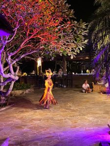 Indonesia Tuan Rumah AEM Special Meeting di Bali, Mendag Lutfi: Targetnya Pengembangan Ekonomi Kawasan