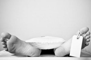 Petani di Madiun Tewas Tersengat Listrik Jebakan Tikus