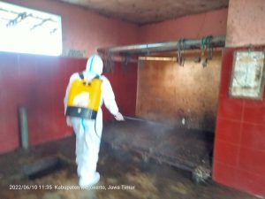 BPBD Jatim Semprot Disinfeksi ke Rumah Potong dan Pasar Hewan di Mojokerto