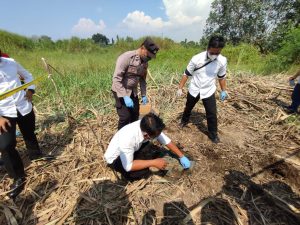 Kerangka Manusia Ditemukan di Kebun Tebu, Diduga Seorang Wanita