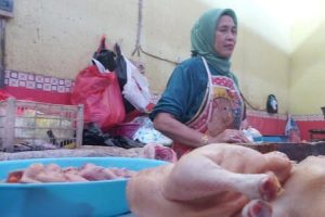 Harga Daging Ayam Meroket, Pedagang di Lamongan Sepi Pembeli