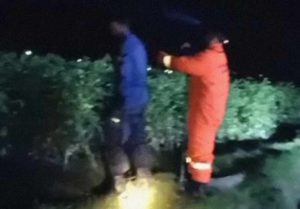 Petani Bojonegoro Dililit Ular Sanca Saat Memanen Tomat