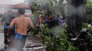 Tertimpa Pohon Tumbang di Bundaran Aloha, Pemotor Asal Sidoarjo Luka-luka