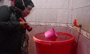 Musim Hujan Tiba! Begini Cara Ampuh Basmi Jentik Nyamuk Hindari DBD