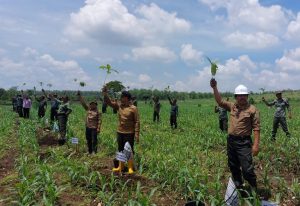 Perhutani Mojokerto Bersama MDH Lakukan Penanaman dalam Rangka HMPI 2023