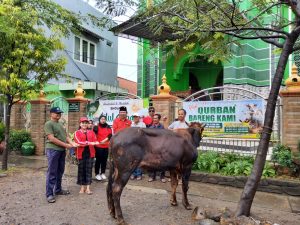 DPC PDI Perjuangan Kota Mojokerto Sumbang Dua Ekor Sapi untuk Dua Masjid