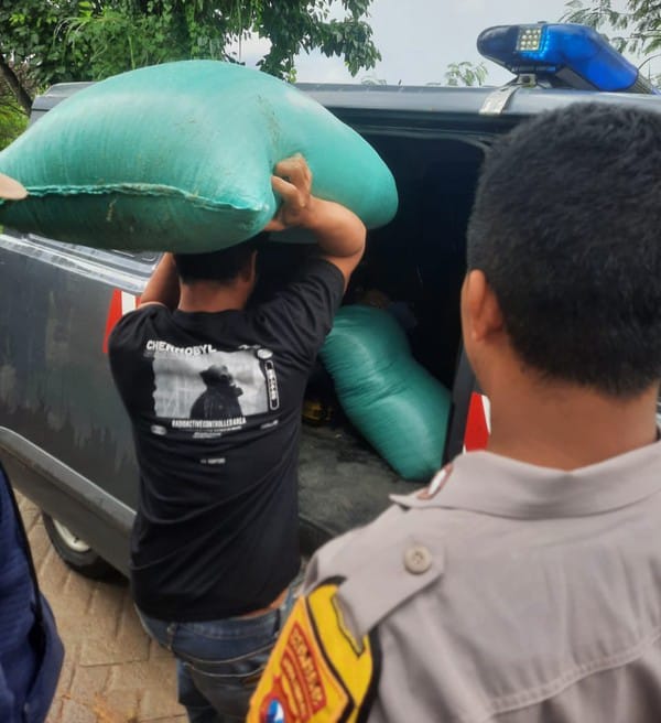 Curi 2 Karung Gabah di Bojonegoro, Pria Asal Tuban Diringkus Polisi