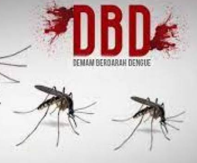 Waspada! Kasus DBD di Blitar 389 Orang Terjangkit Dalam Sebulan