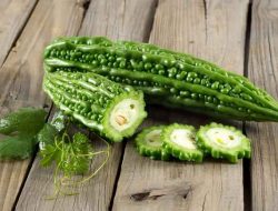 Simak 7 Manfaat Pare Untuk Kesehatan, Bisa Mengobati Diabetes Hingga Kanker