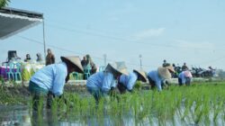 Gerakan Tanam Serempak di Kota Mojokerto untuk Hadapi Kemarau dan Jaga Ketersediaan Pangan