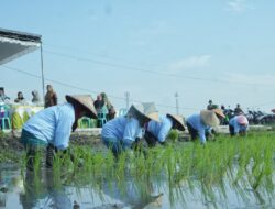 Gerakan Tanam Serempak di Kota Mojokerto untuk Hadapi Kemarau dan Jaga Ketersediaan Pangan