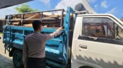 Polres Malang Ungkap Pembalakan Hutan, Truk Bermuatan Kayu Diamankan