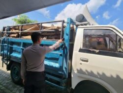 Polres Malang Ungkap Pembalakan Hutan, Truk Bermuatan Kayu Diamankan