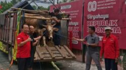 DPC PDI Perjuangan Kota Mojokerto:Kurban dari Partai Wong cilik untuk Wong Cilik